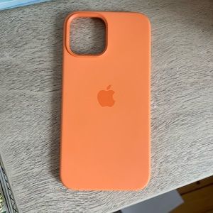 Apple iPhone Case (iPhone 12 Pro Max)
